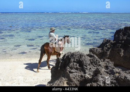 Cheval de tourisme sur la plage, Plage de Natadola, Viti Levu, Fidji, Grand Fidji. Banque D'Images