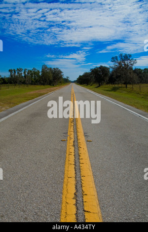 Tout droit country road in Polk County, Floride, USA dans le coeur d'orange pays producteur. Banque D'Images