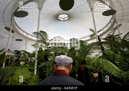 La croquette, récemment restauré, le palais dans les jardins botaniques de Glasgow UK fougères arborescentes forme la pièce centrale dans le glasshous spectaculaire Banque D'Images