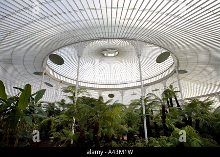 La croquette, récemment restauré, le palais dans les jardins botaniques de Glasgow UK fougères arborescentes forme la pièce centrale dans le glasshous spectaculaire Banque D'Images