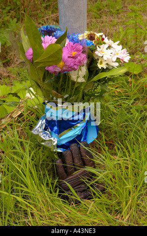 Les fleurs avec gant unique sur les lieux d'un accident mortel sur l'A40 entre Bwlch et Brecon Powys South Wales UK Banque D'Images