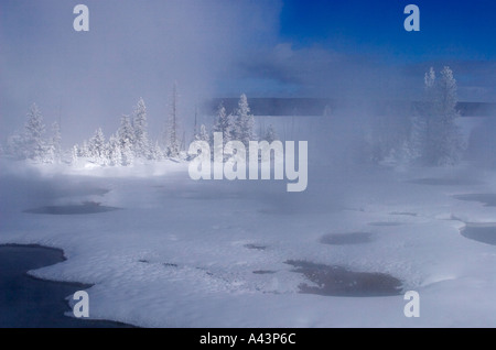 Tôt le matin, la lumière à West Thumb Geyser Basin Le Parc National de Yellowstone WY USA Banque D'Images