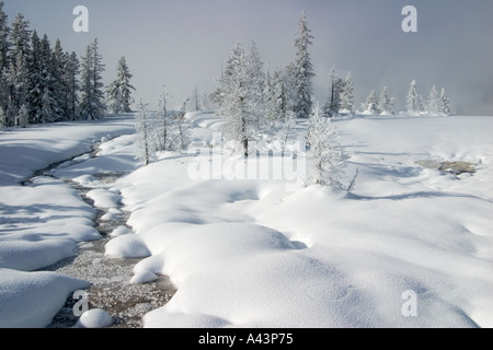 Matin d'hiver à West Thumb Geyser Basin Le Parc National de Yellowstone WY USA Banque D'Images