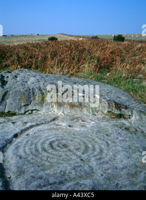 L'âge du bronze et de l'anneau 'Cup' rock carvings sur doddington moor, près de Wooler, Northumberland, England, UK. Banque D'Images