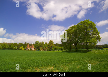 Oast maisons près de Ightham Mote dans le Kent Banque D'Images