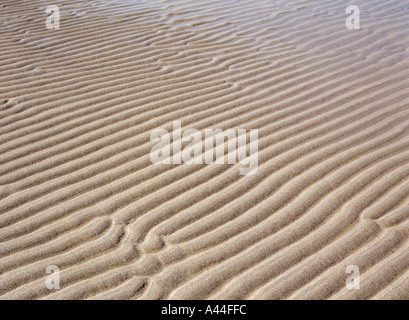 dh gros plan texture SABLE ARRIÈRE-PLANS MOTIF Ayre of Les crêtes de plage de sable de Cara sont ondulées Banque D'Images