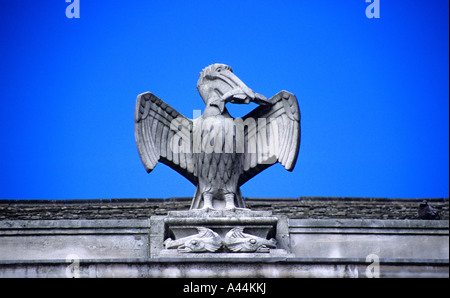 Pelican sur le toit de l'ancien Hôtel Pelican', 'rue Buttermarket, Warrington, England Banque D'Images