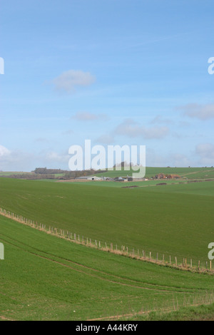Voir d'Tolmare Farm, Long Furlong, près de Findon village. West Sussex. Banque D'Images