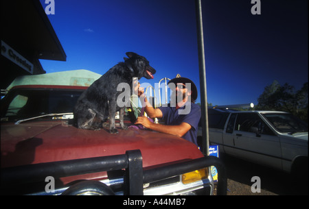 Homme dur et son chien camion 3616 sip Banque D'Images