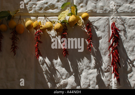 Limes et hot peppers accroché sur un mur. Banque D'Images