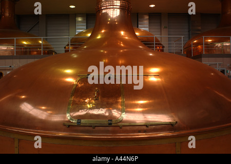 Brewhouse de Lech Browary Wielkopolski, Pologne - Poznan. Banque D'Images