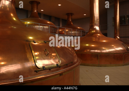 Brewhouse de Lech Browary Wielkopolski, Pologne - Poznan. Banque D'Images