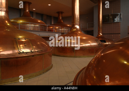 Brewhouse de Lech Browary Wielkopolski, Pologne - Poznan. Banque D'Images