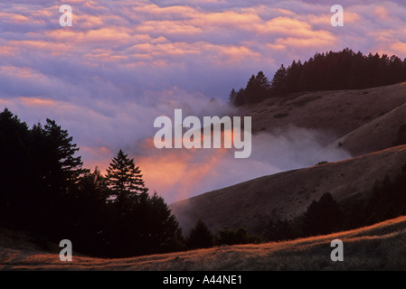 Coucher de soleil sur l'épais brouillard sur les pentes du Mont Tamalpais State Park California USA Banque D'Images