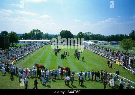 Vue de l'ancien anneau de parade à Epsom Downs race course l'accueil du Derby course de chevaux Surrey England UK Banque D'Images