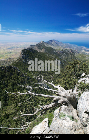 Afficher le long de la crête principale des montagnes Besparmak près de Château Buffavento, Chypre du Nord Banque D'Images