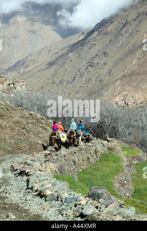 Les hommes ride donkey train dans haut Atlas de Marrakech, parc national de Toubkal, Maroc, Afrique du Nord, 2007 Banque D'Images