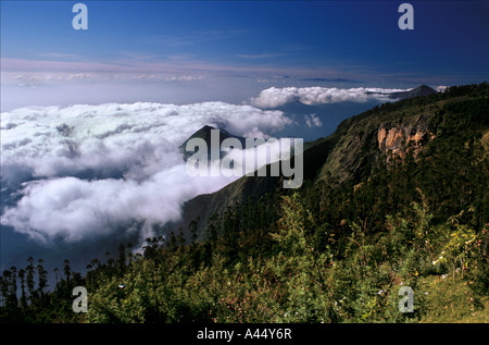 Beaux paysages de Kodaikanal, Tamil Nadu, Inde Banque D'Images