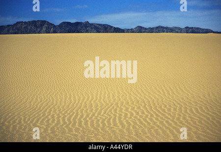De belles dunes de sable dans le désert de Taklamakan très secs dans le Xinjiang, Chine Banque D'Images