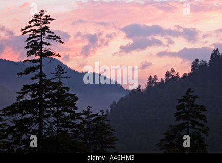 Coucher de Great Smoky Mountains National Park Utah Banque D'Images