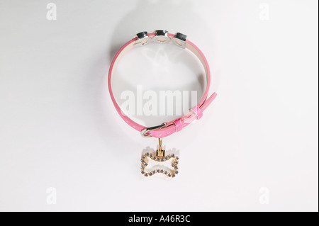 Collier pour chien rose Banque D'Images