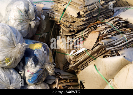 Déchets triés (papier et plastique) sur un point de collecte dans la région de Recife, Brésil Banque D'Images