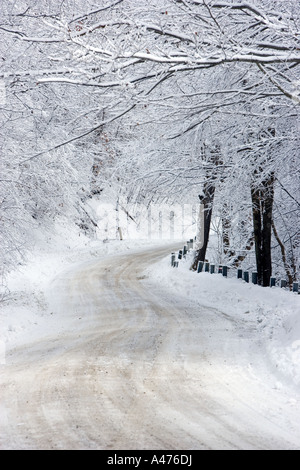 Les arbres couverts de neige glacée et de routes rurales dans la région de Pownal, Vermont Banque D'Images