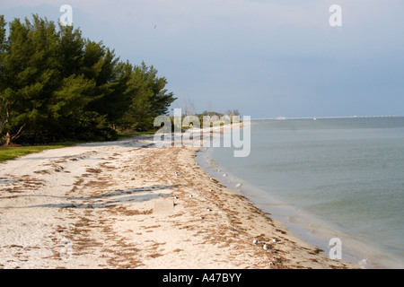 Fort ft DeSoto Park, dans le comté de Pinellas en Floride, face vide de la plage sur la côte du golfe de Tampa Bay Banque D'Images