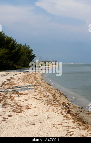 Fort ft DeSoto Park, dans le comté de Pinellas en Floride, face vide de la plage sur la côte du golfe de Tampa Bay Banque D'Images