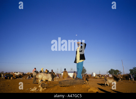 Un homme à le marché du bétail sur la frontière éthiopienne protège les yeux contre le soleil auto déclaré pays indépendant du Somaliland Banque D'Images