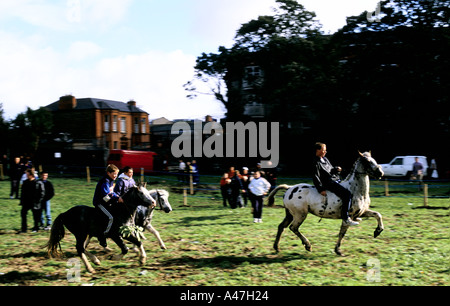 Les garçons de Dublin Dublin Horse riding horses smithfield market Banque D'Images
