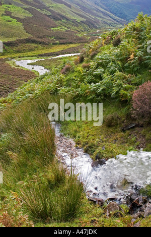 Cours d'eau jaillissant de l'eau entrer dans Mennock Mennock Col Lowther Hills près de Wanlochhead Ecosse Banque D'Images