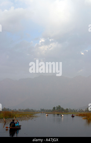 Les bateaux traditionnels à un canal sur le lac Dal à Srinagar au Cachemire en Inde Banque D'Images