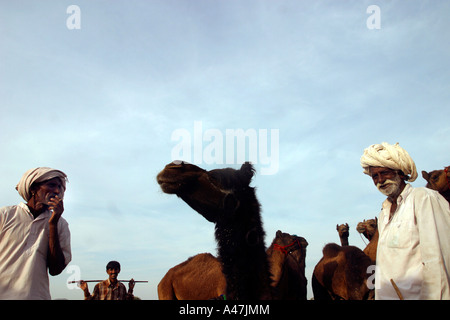 Les propriétaires de chameaux avec leurs animaux pendant l'assemblée annuelle de chameau de Pushkar juste en Inde Banque D'Images