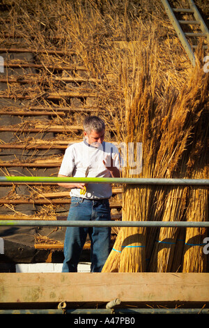 Thatcher au travail sur le toit Banque D'Images