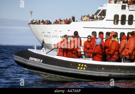 Un zodiac plein de gens par un grand bateau sur un voyage d'observation des baleines dans le fleuve Saint-Laurent Banque D'Images