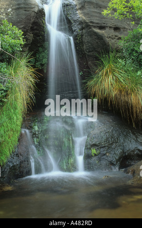 Une petite cascade de la gorge en Ndedema du Kwa-Zulu Natal de montagnes du Drakensberg, Afrique du Sud Banque D'Images