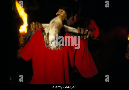 Un prêtre voodoo se prépare à sacfifice un poulet lors d'une cérémonie vaudou à Port-au-Prince Haïti Banque D'Images