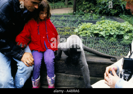 Apenheul primate Holland Park où 35 espèces de singes singes et Lémuriens en liberté Banque D'Images