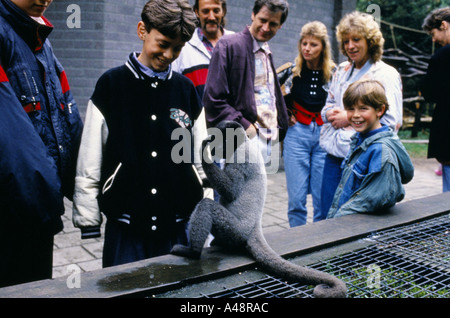 Apenheul primate Holland Park où 35 espèces de singes singes et Lémuriens en liberté Banque D'Images