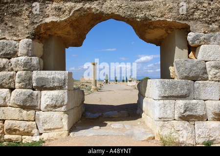 Vue panoramique ruinas de Ampurias Empúries Empúries Girona Gérone Catalogne Catalogne Catalogne Costa Brava España Espagne Europe Banque D'Images