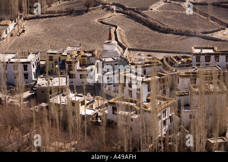 Inde Ladakh Leh Spitok Vallée Village view de chorten et champs environnants Banque D'Images