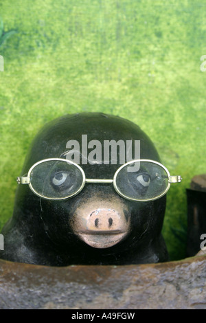 Taupe A Lunettes En Bois Photo Stock Alamy