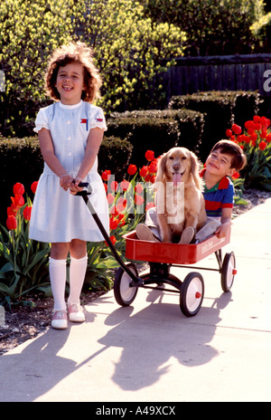 Garçon et fille exerçant son chien dans un wagon, USA Banque D'Images