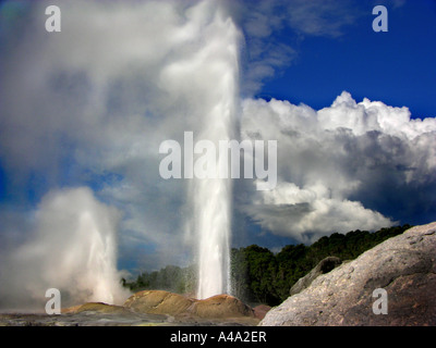 Whakarewa Geysir, Nouvelle-Zélande, parc national Abel Tasman Banque D'Images