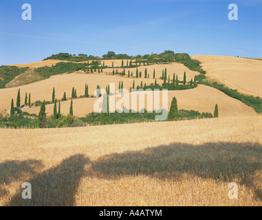 Italie TOSCANE LA FOCE PRÈS DE CHIANCIANO TERME Banque D'Images