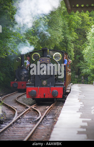 Talyllyn train approchant dolgoch falls station Banque D'Images