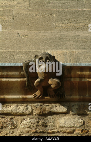 Gargouille en pierre sculptée sur l'un des collèges d'Oxford Banque D'Images