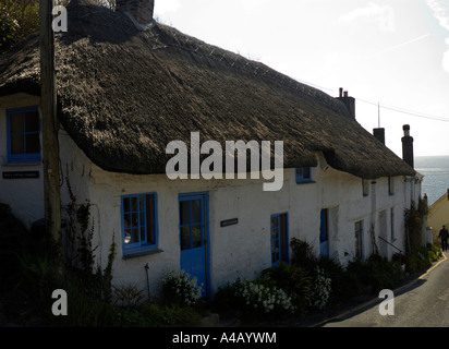 Vieux chalet dans un village de pêcheurs (Coverack) sur la côte de Cornouailles, Cornwall Banque D'Images