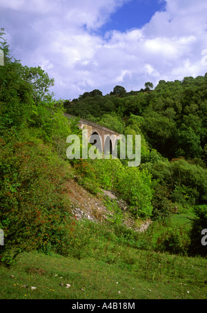 Vue sur viaduc ferroviaire désaffectée dans Dale Monsal dans le Derbyshire Peak District en Angleterre Banque D'Images